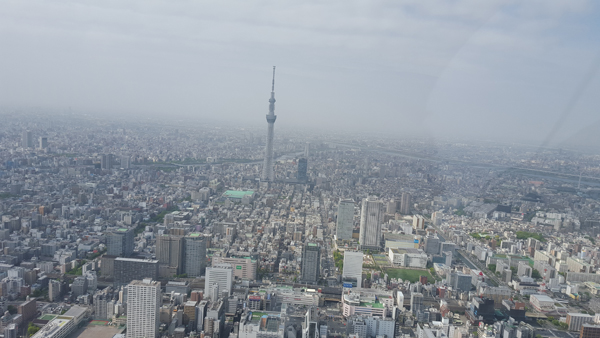 �����H���A�O�ǍH���A�����H���A�����̔��̓c�����X